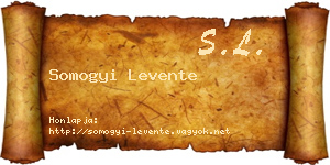 Somogyi Levente névjegykártya