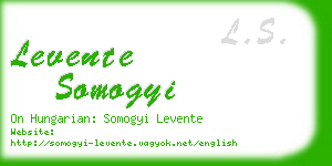 levente somogyi business card